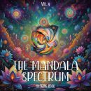Mandala Coloring Book 08